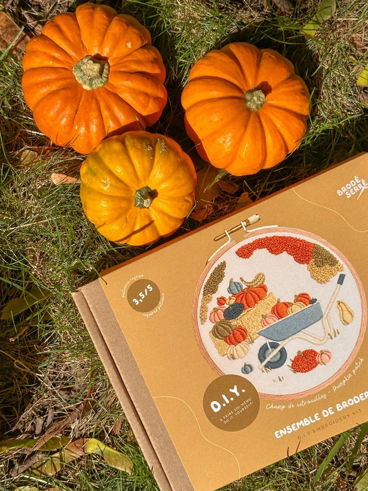 Kit De Broderie D.I.Y - Champ De Citrouilles