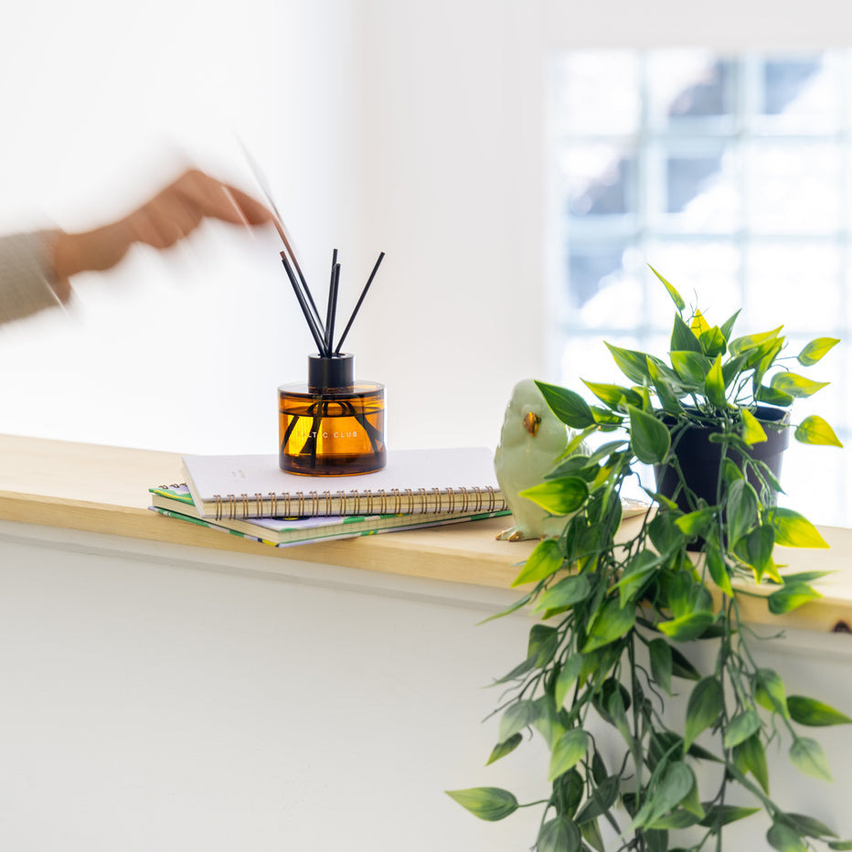 Diffuseur À Roseaux - Hinoki