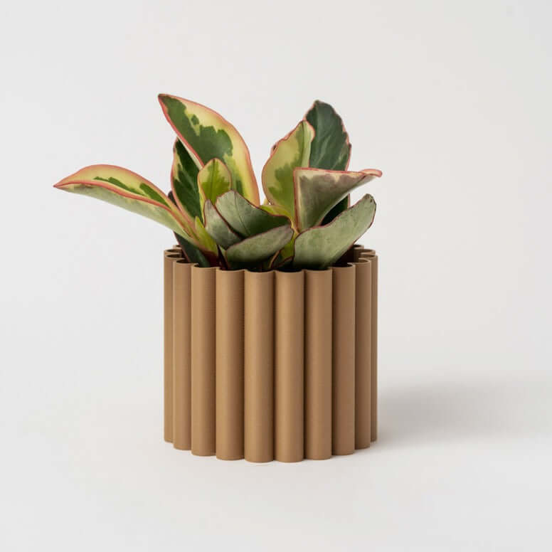 Cache-Pot - Le Fleuri - Beige - 4”