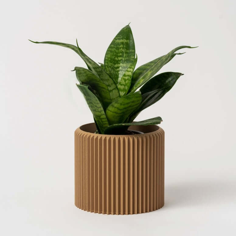 Cache-Pot - Le Coquet - Beige - 5”