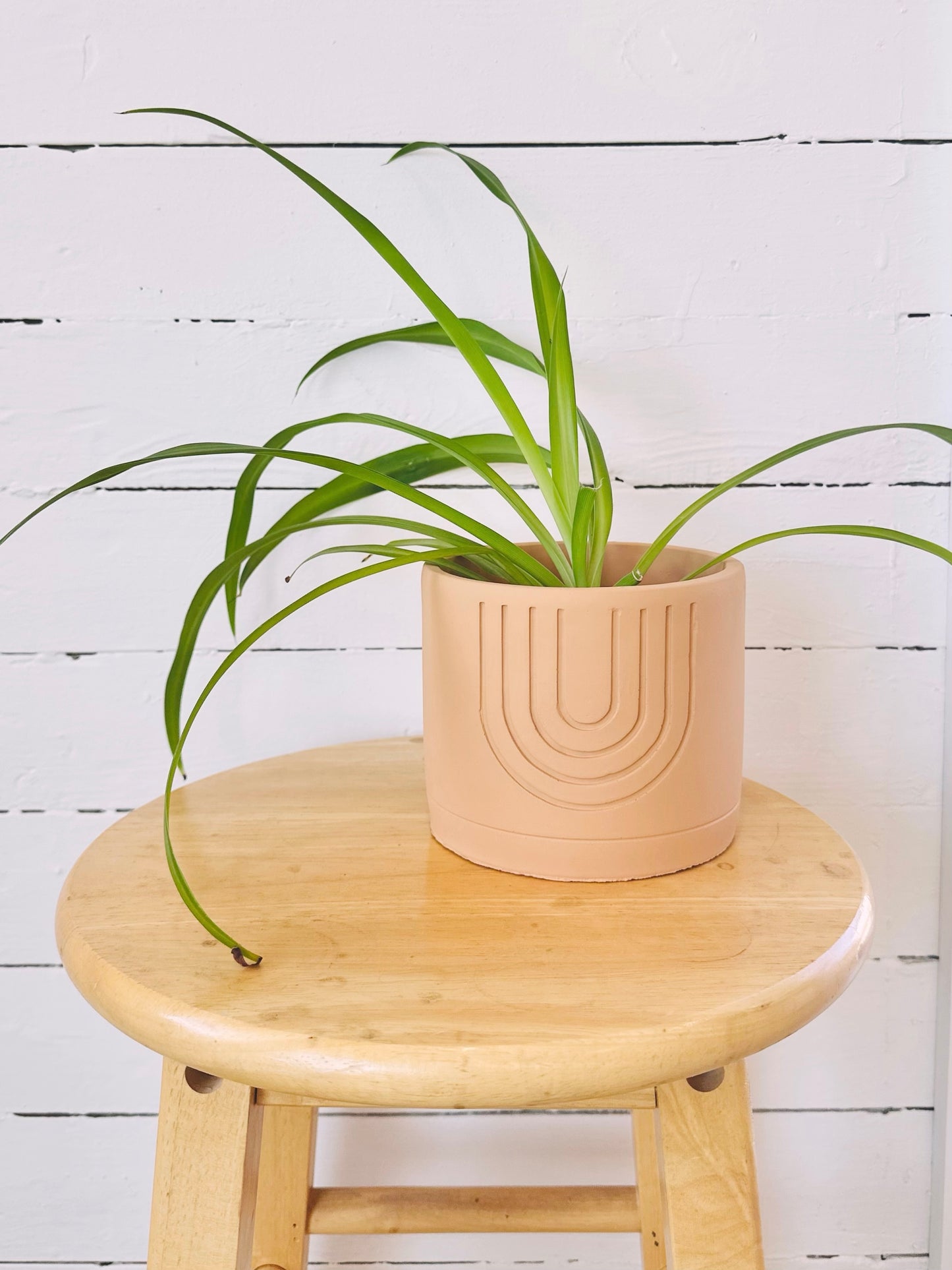 Cache-pot - Terracotta