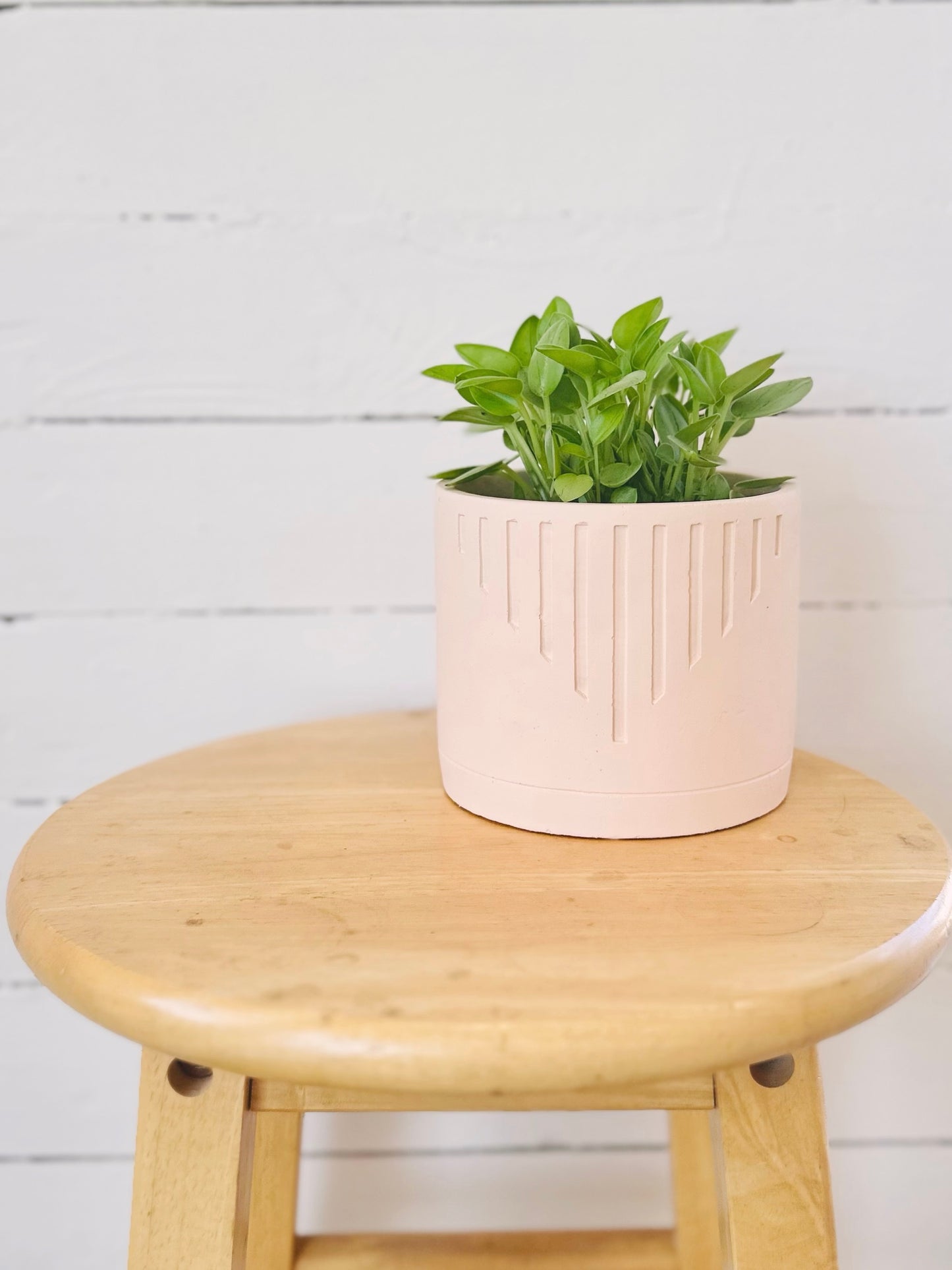Cache-pot - Pêche