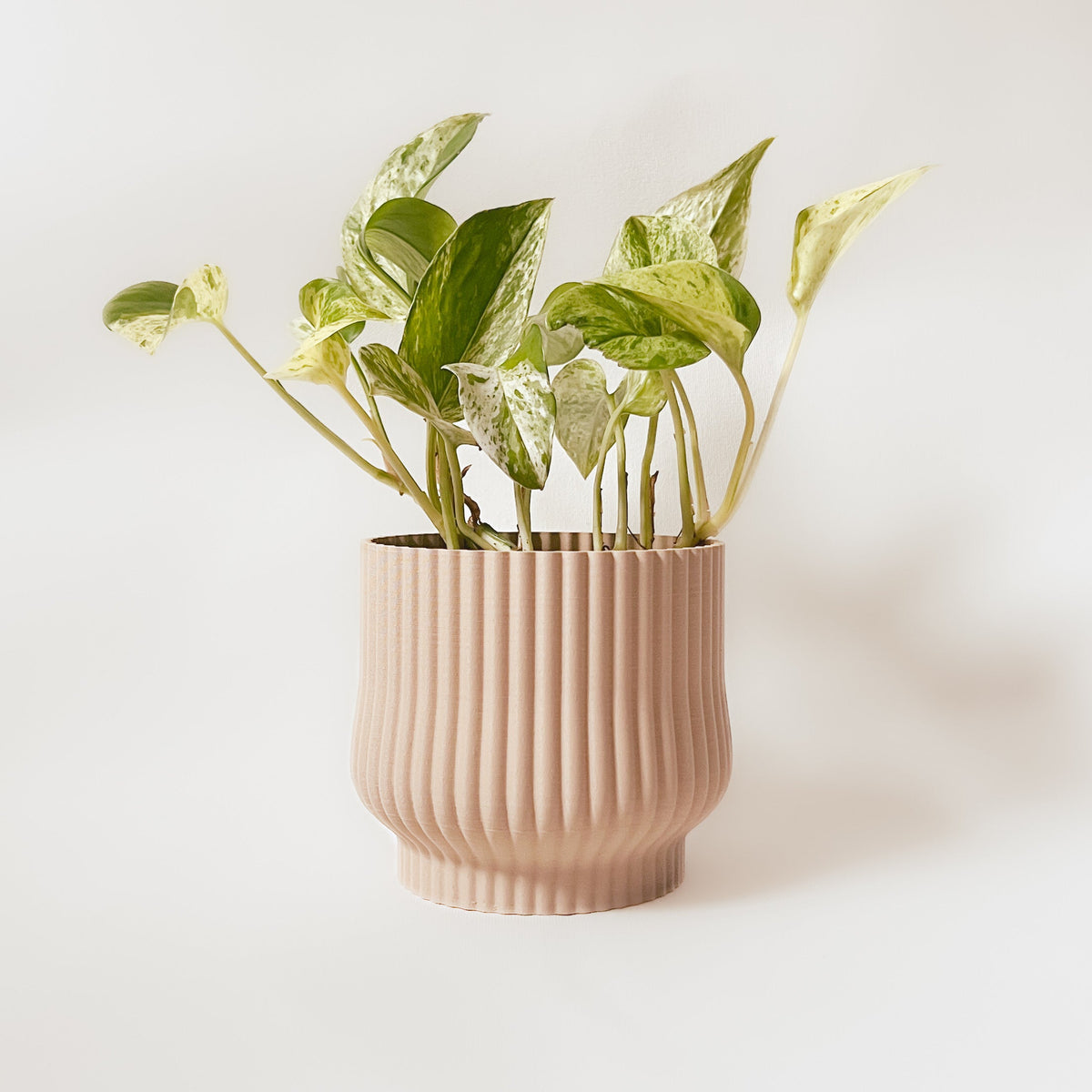Cache-Pot - L’adorable - Beige - 5”
