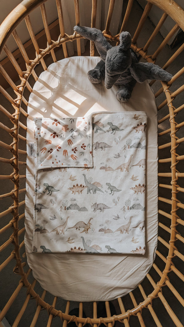 Couverture de Minky - Jurrasique