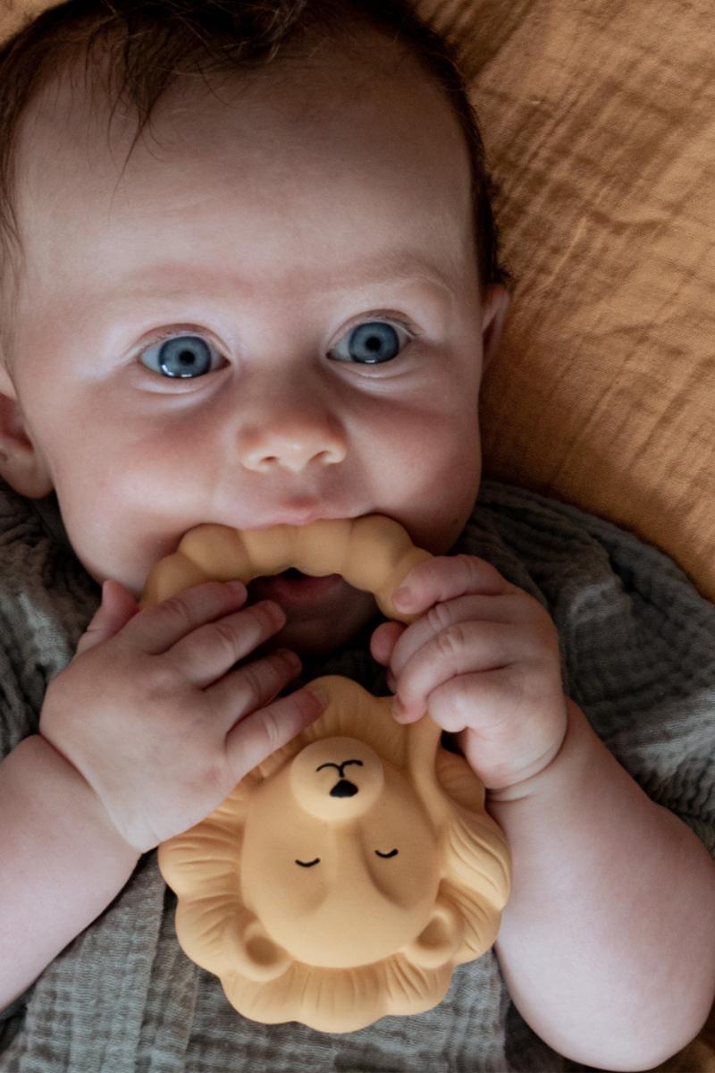 Jouet De Dentition - Lion