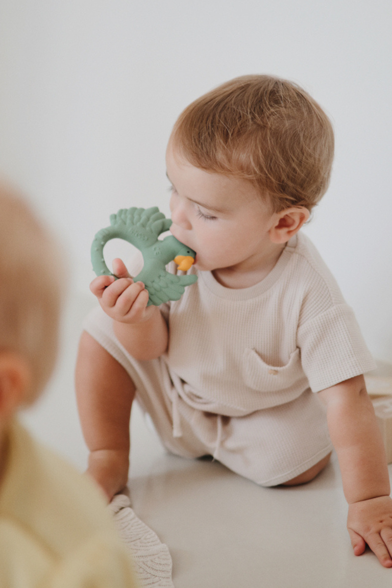 Jouet De Dentition - Perroquet