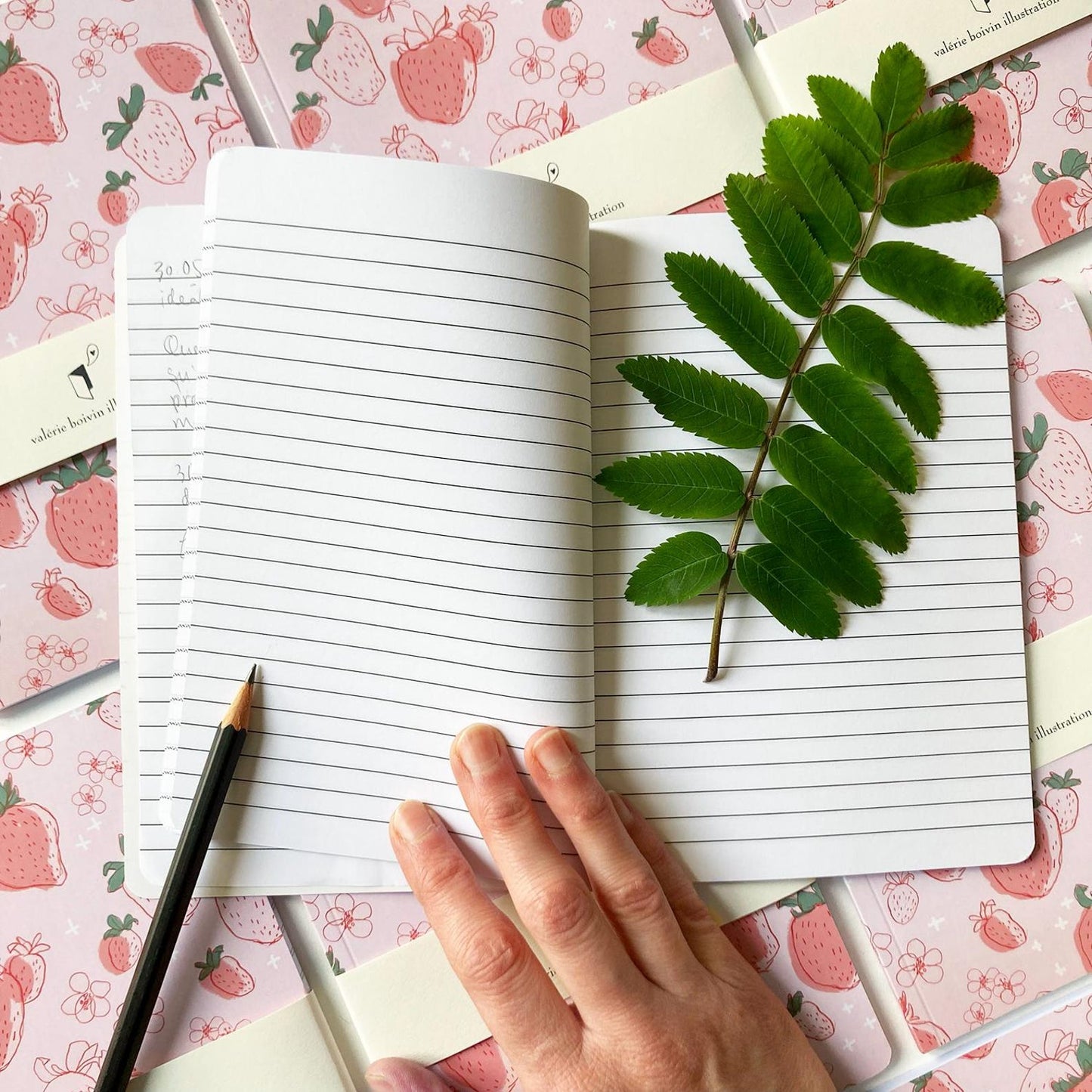 Carnet De Notes - Fraises