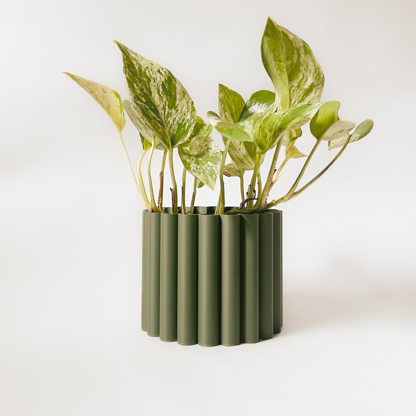 Cache-Pot - Le Fleuri - Eucalyptus - 4″