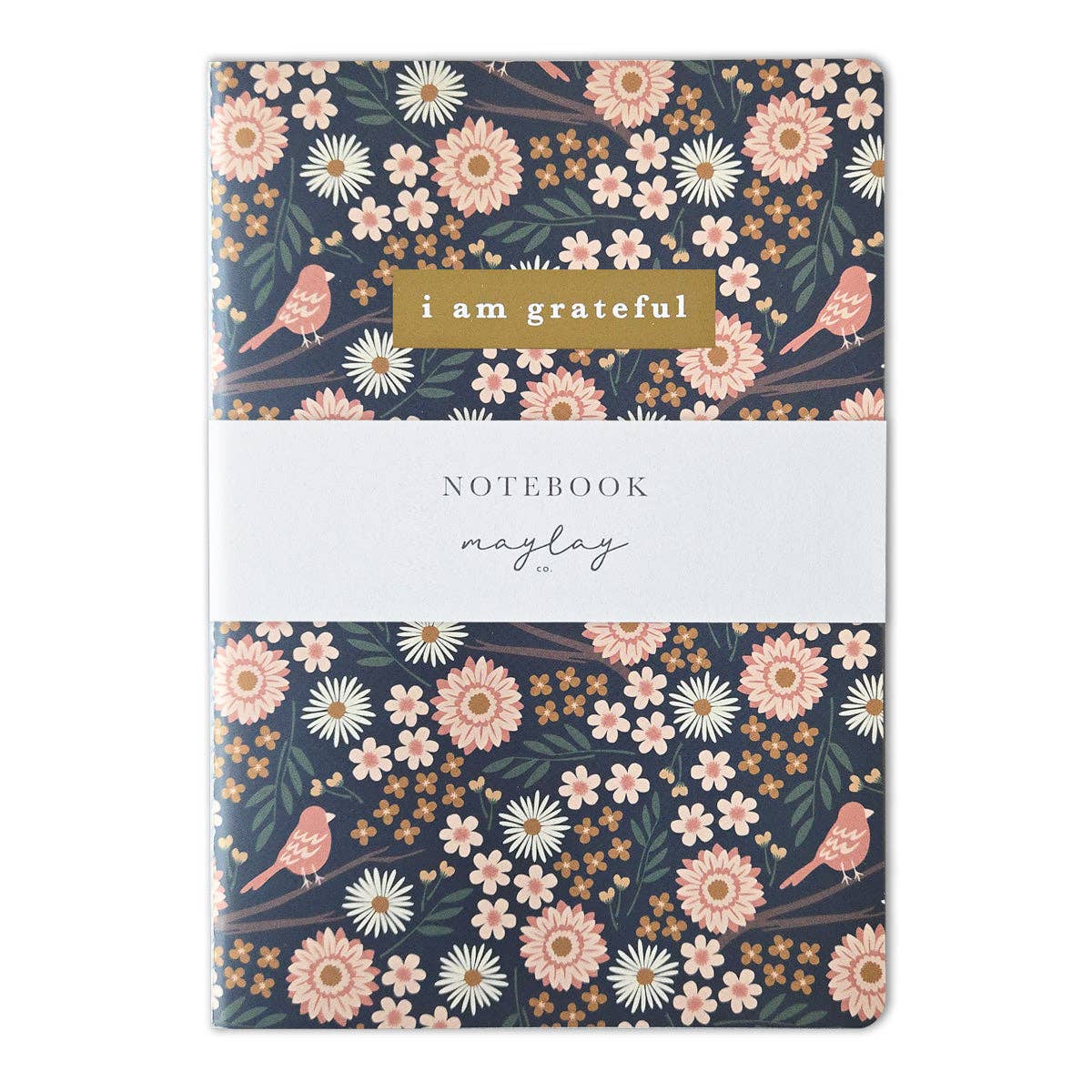 Cahier De Notes - Oiseaux