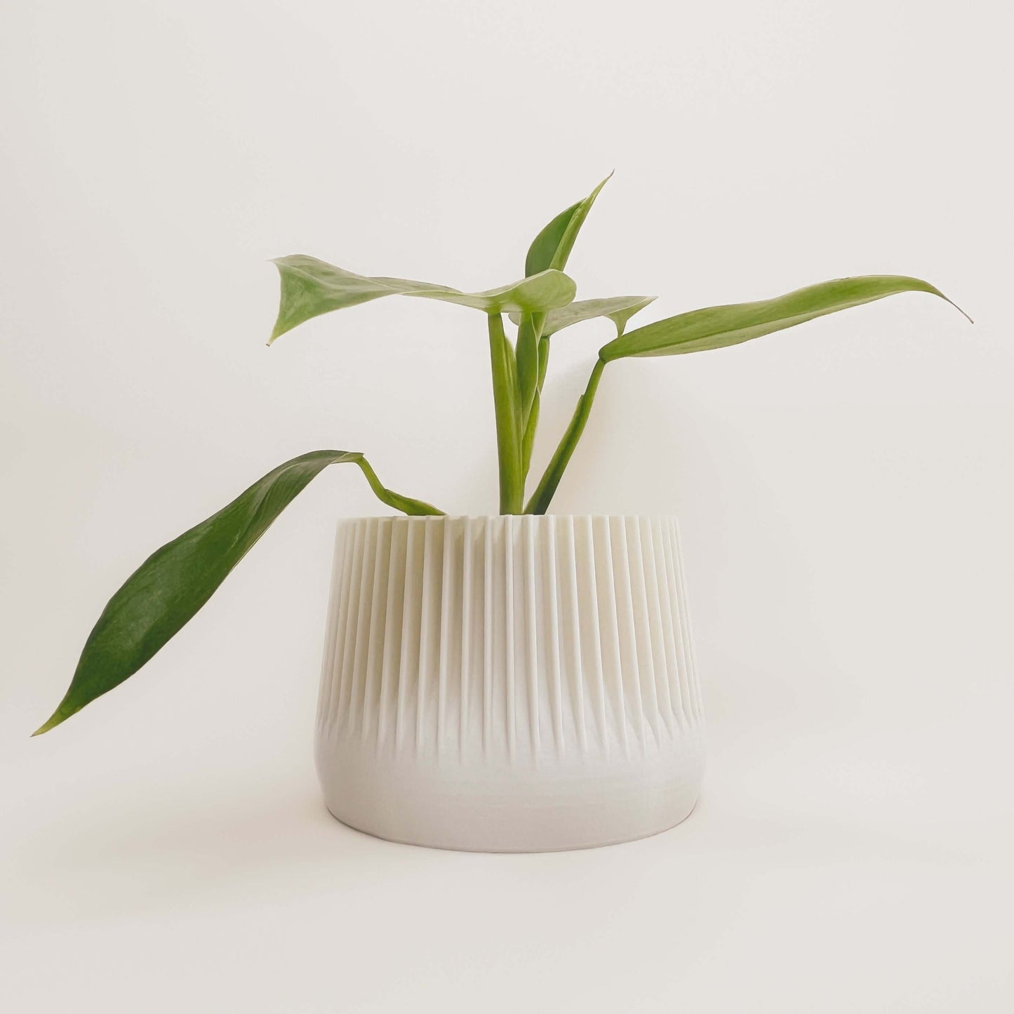 Cache-Pot - Le Paisible - Blanc - 4’’