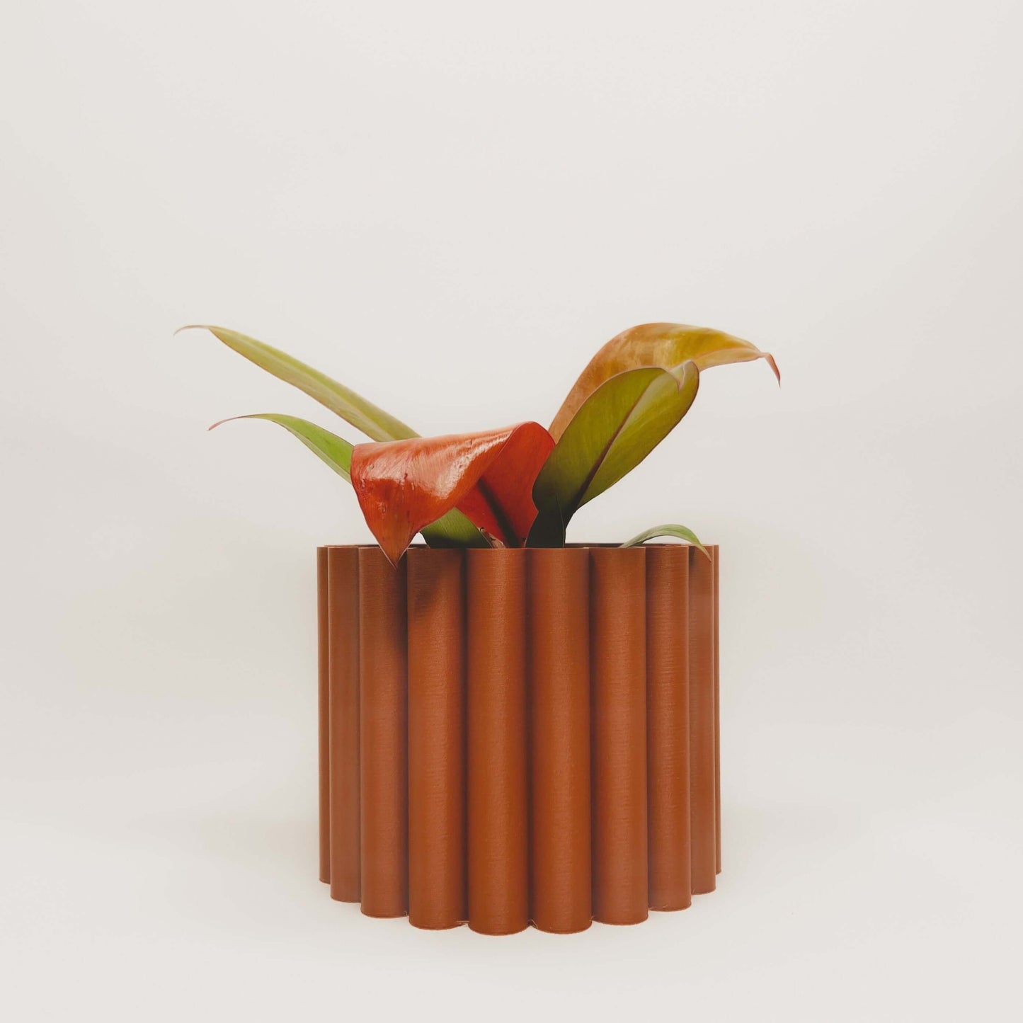 Cache-Pot - Le Fleuri - Bois Chaï — 4”