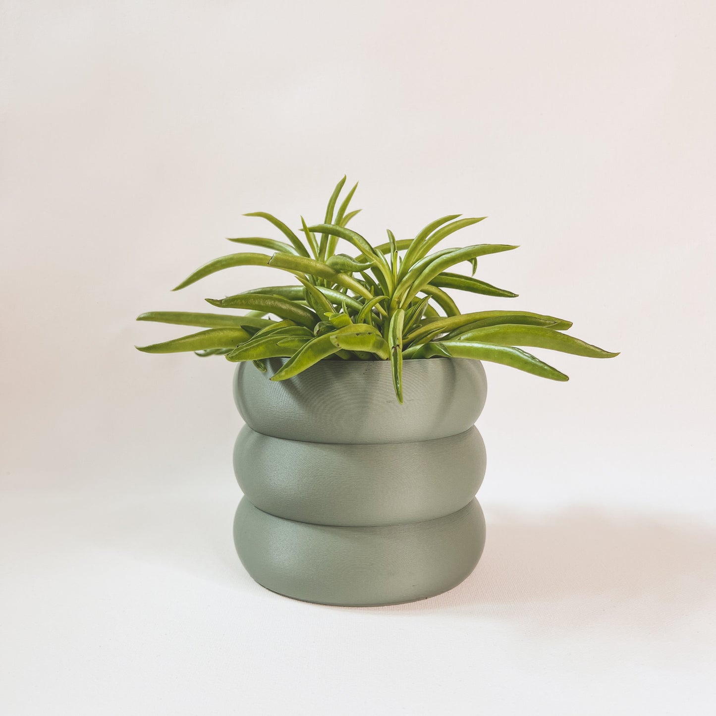 Cache-Pot - Le Bubbly - Sauge - 5’’