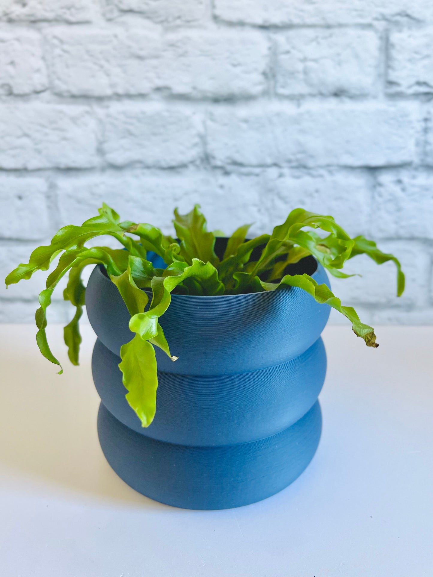 Cache-Pot - Le Bubbly - Bleu Océan - 5”