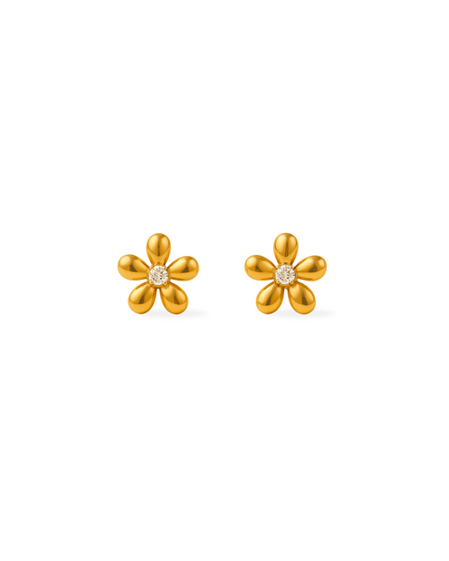 Boucles D'oreilles - Marguerites