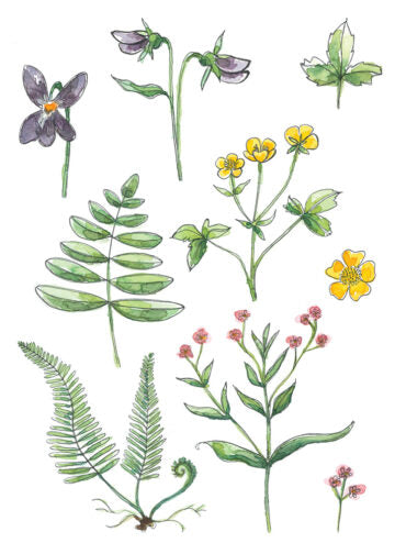 Mini Carte De Souhait - Philomène