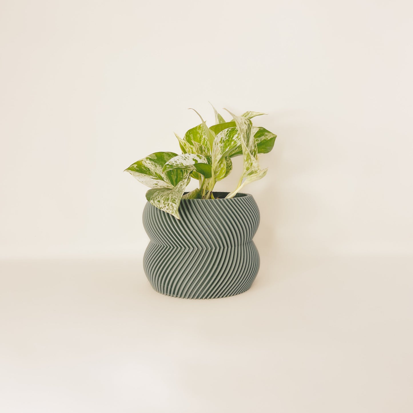 Cache-Pot - Le Charmant - Sauge - 4’’