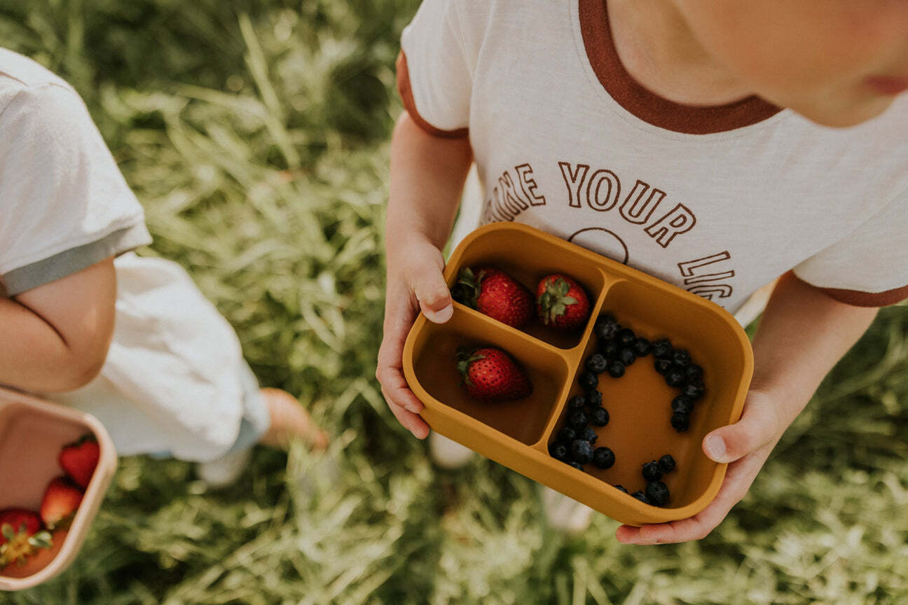 Boîtes Bento - Couleurs Variées