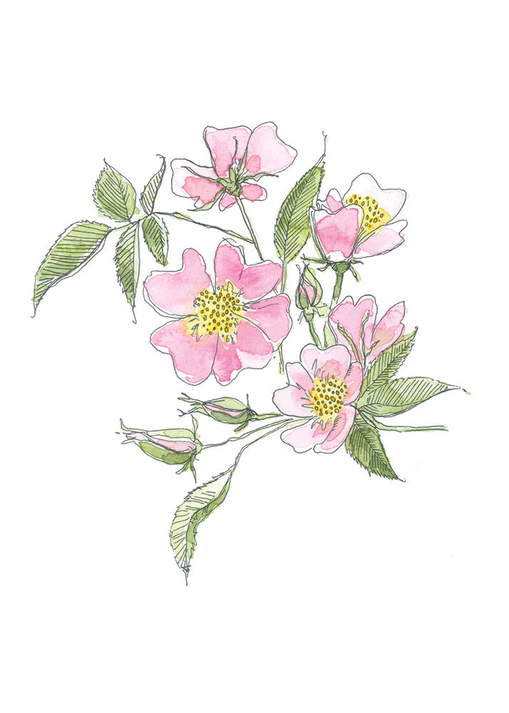 Mini Carte De Souhait - Églantine