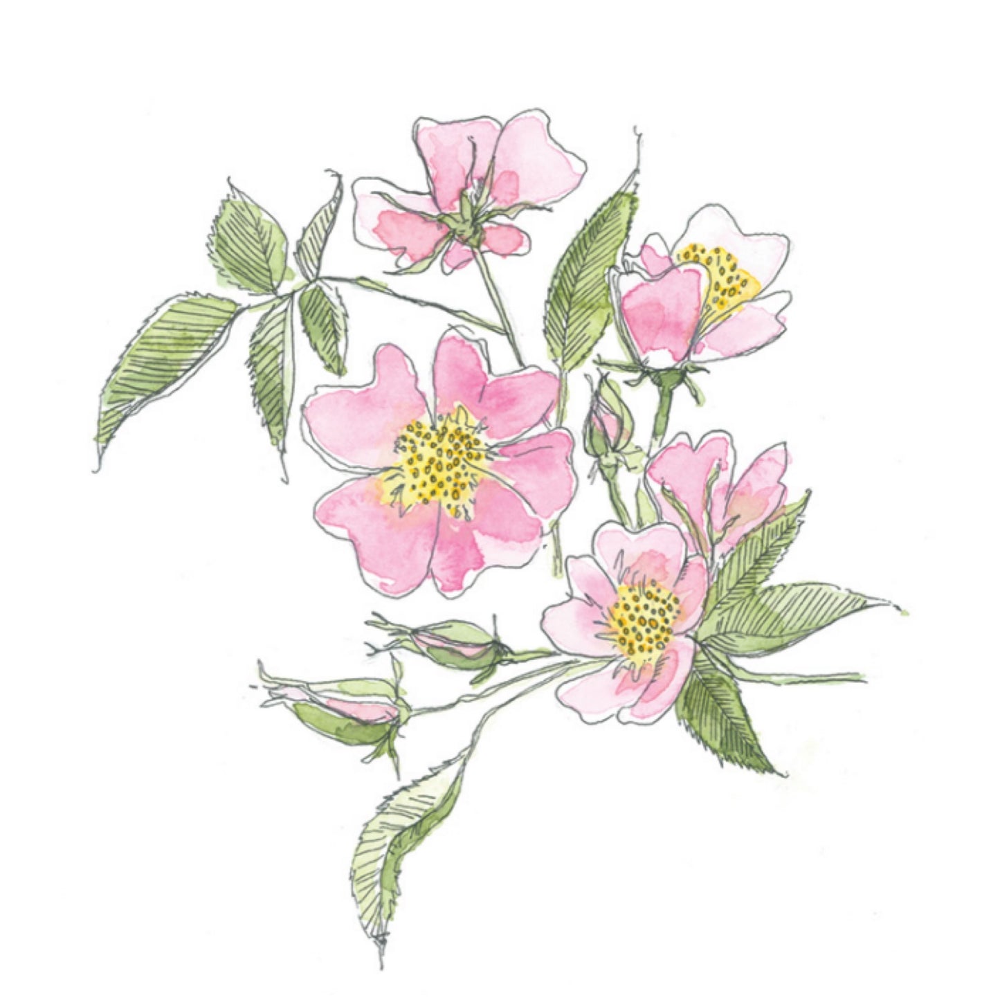 Mini Carte De Souhait - Églantine