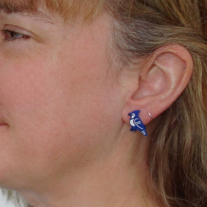 BO Geai Bleu