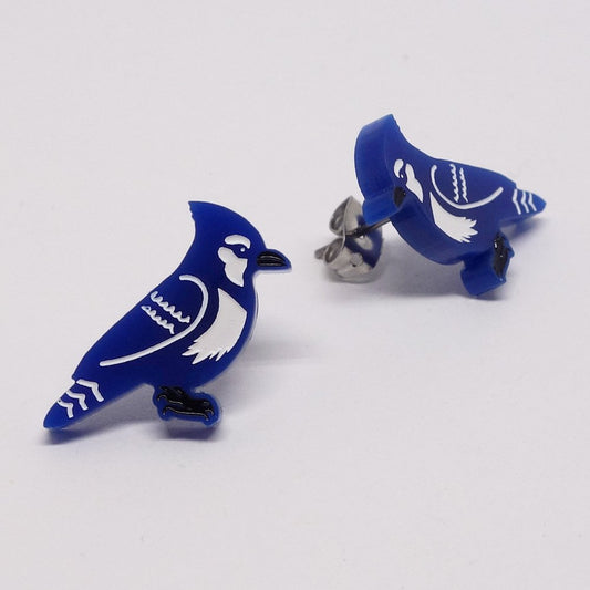 BO Geai Bleu