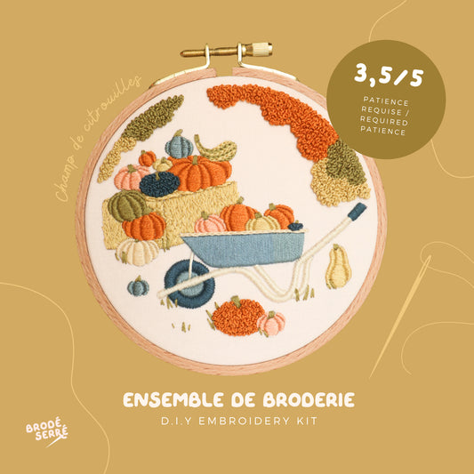 Kit De Broderie D.I.Y - Champ De Citrouilles