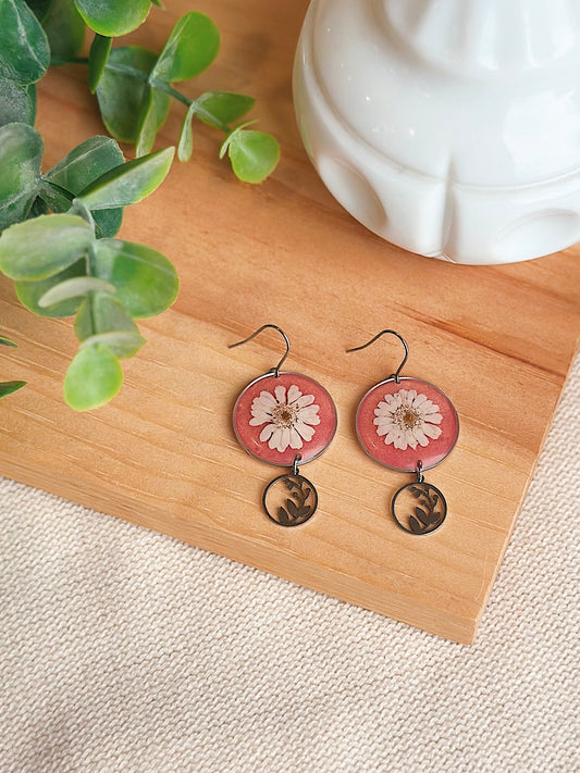 BO - Marguerites Roses