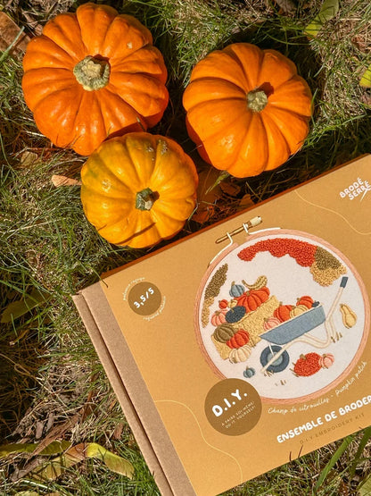 Kit De Broderie D.I.Y - Champ De Citrouilles
