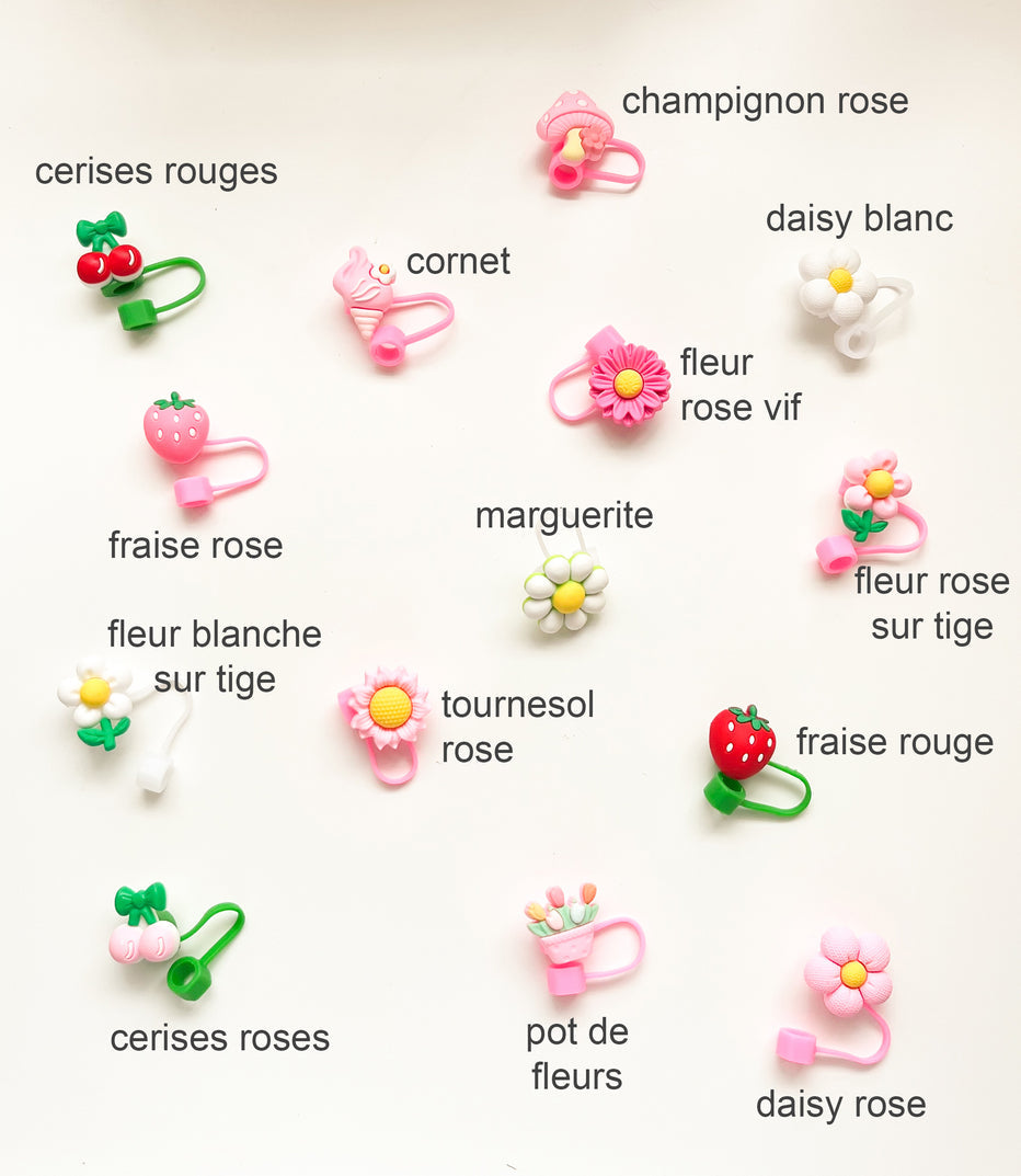 Capuchon Pour Paille - Daisy Rose