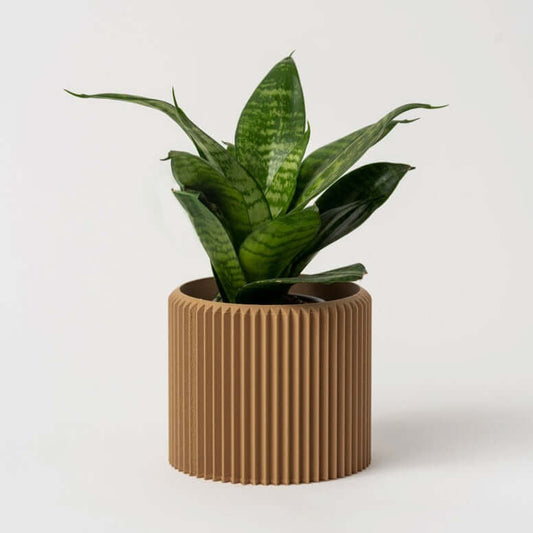 Cache-Pot - Le Coquet - Beige - 5”