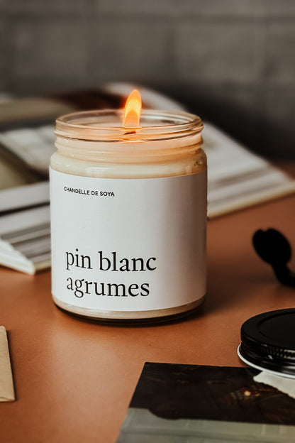 Bougie De Soya - Pin Blanc Agrumes