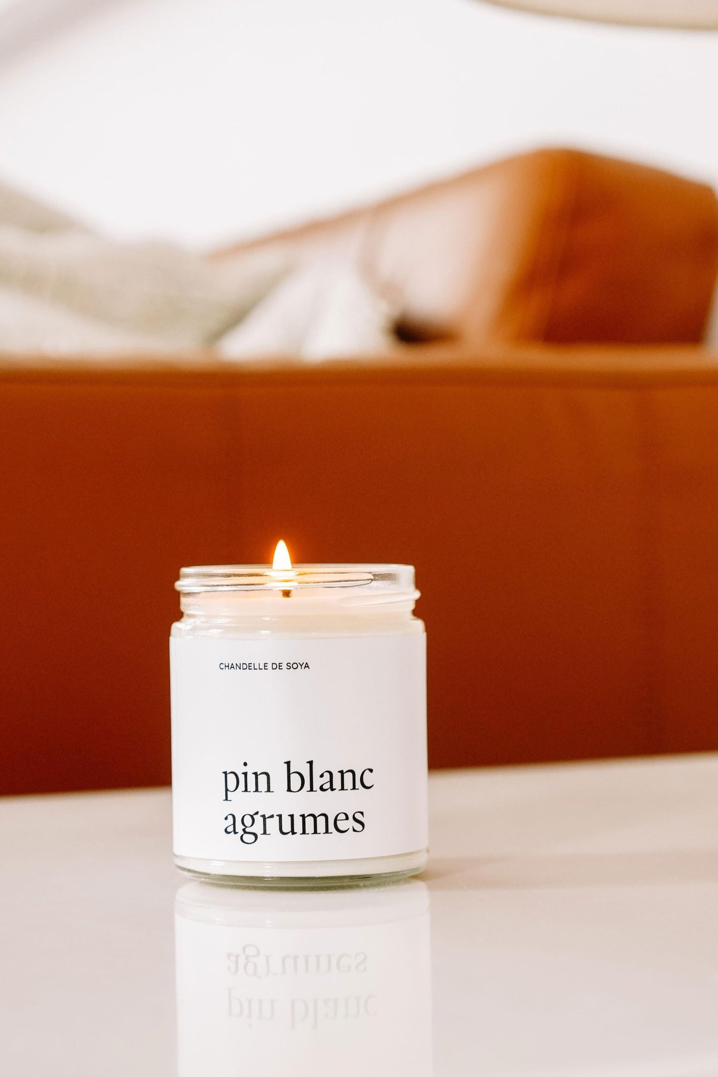 Bougie De Soya - Pin Blanc Agrumes
