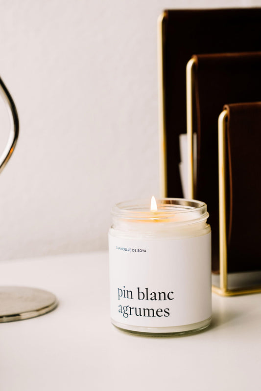 Bougie De Soya - Pin Blanc Agrumes