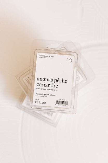 Pastille De Cire - Ananas Pêche Coriandre