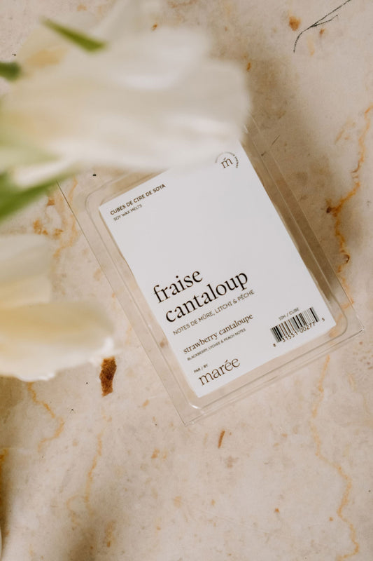 Pastilles De Cire - Fraise Cantaloup