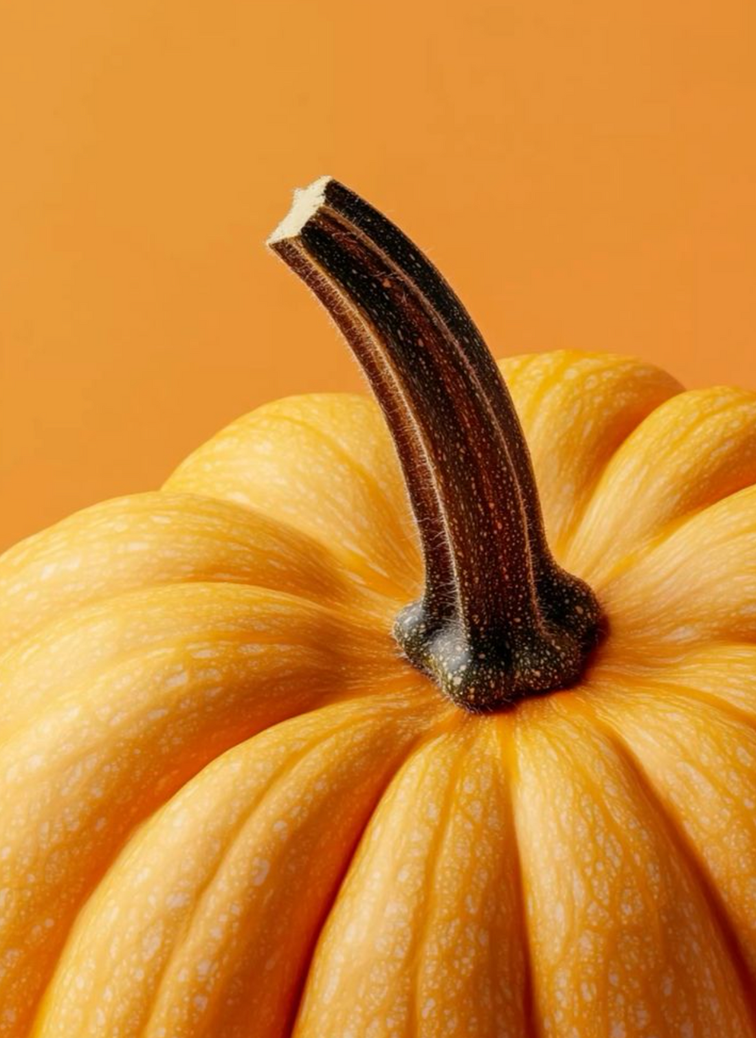 Bougie De Soya - You Had Me At Pumpkin Spice Latte