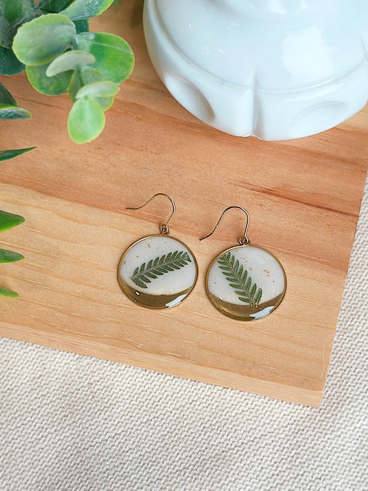 BO - Fougère & Doré