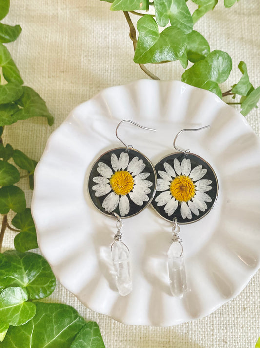 BO - Marguerites Noires