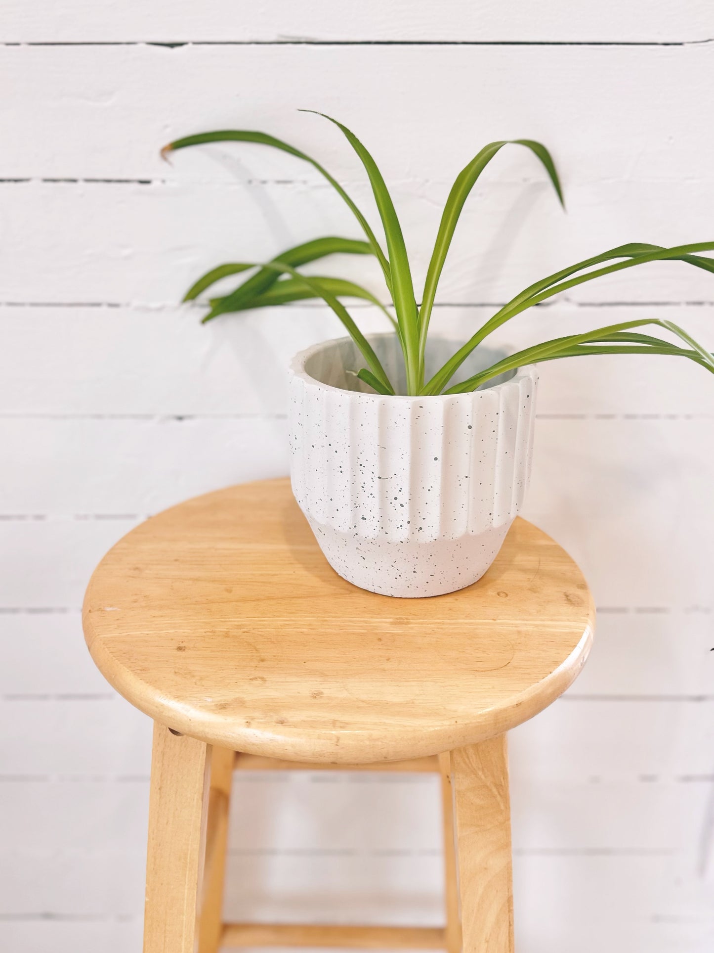 Cache-pot - Vagues Crème