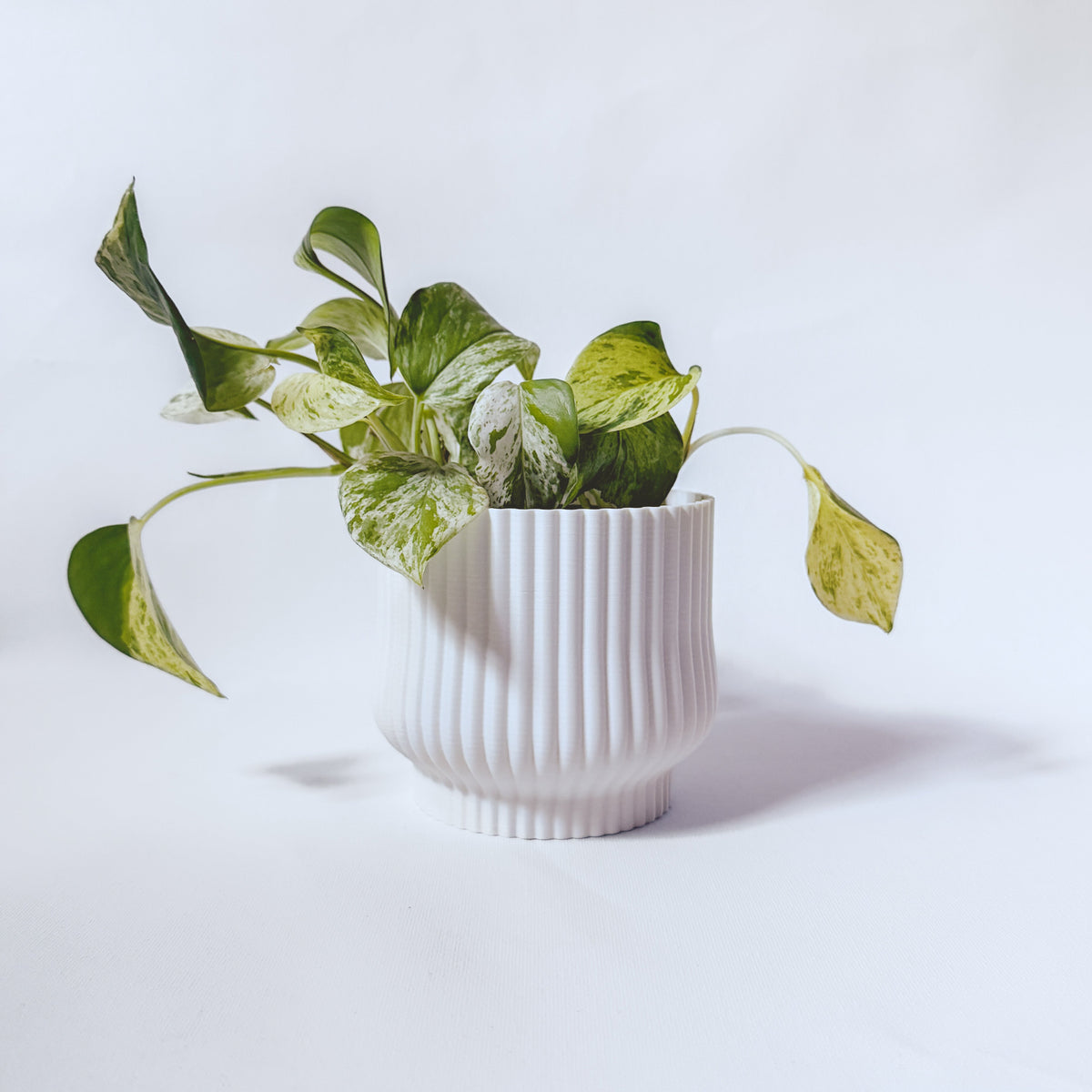 Cache-Pot - L’adorable - Blanc - 4”