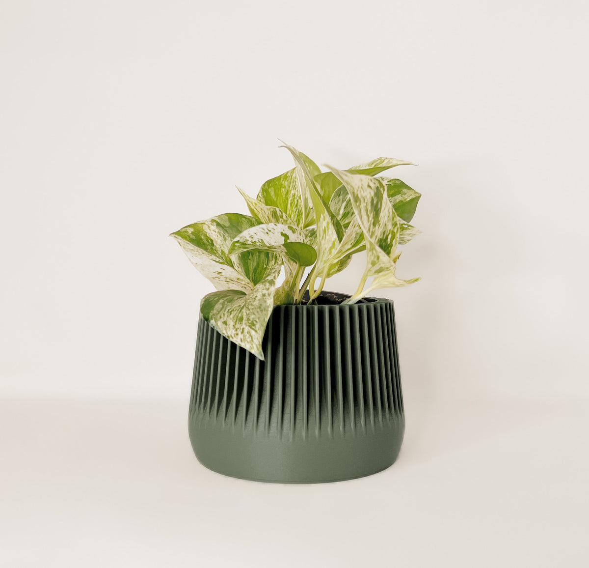 Cache-Pot - Le Paisible - Eucalyptus - 4”