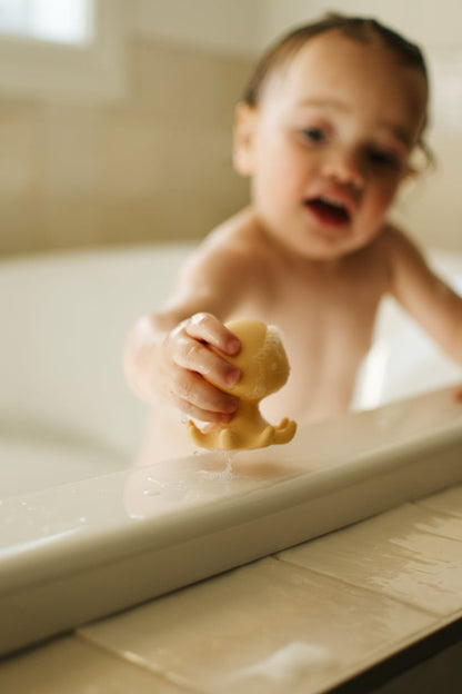 Jouets De Bain - Couleurs Variées