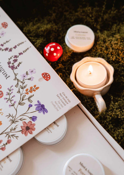 Coffret Découverte - Automne Hiver