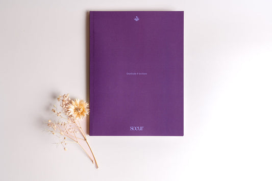 Journal De Gratitude