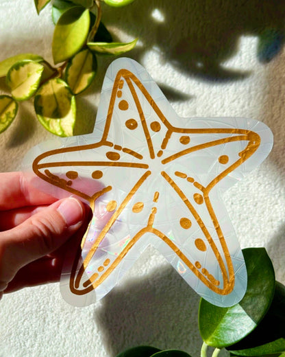 Attrape-soleil - Étoile De Mer