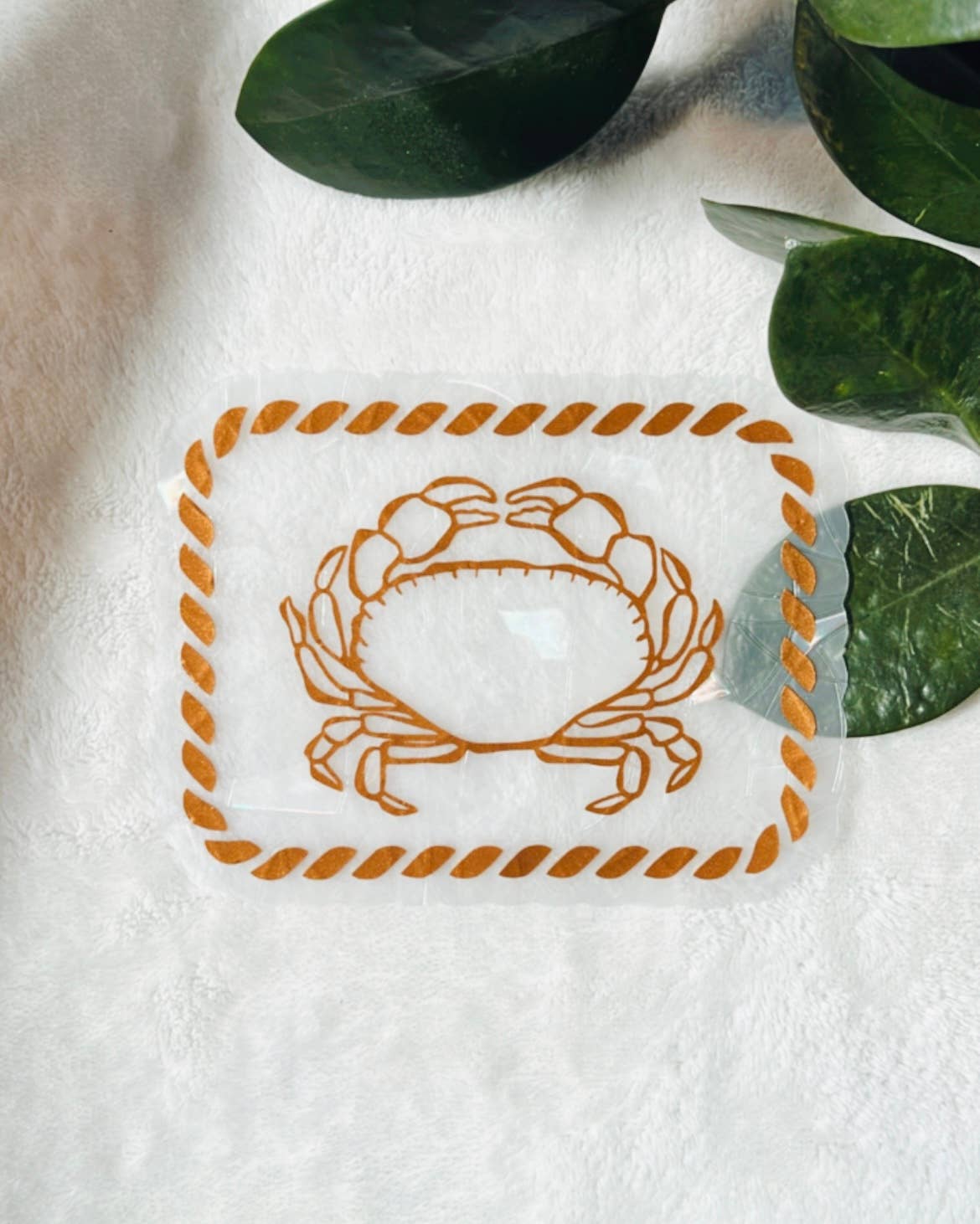 Attrape-soleil - Crabe