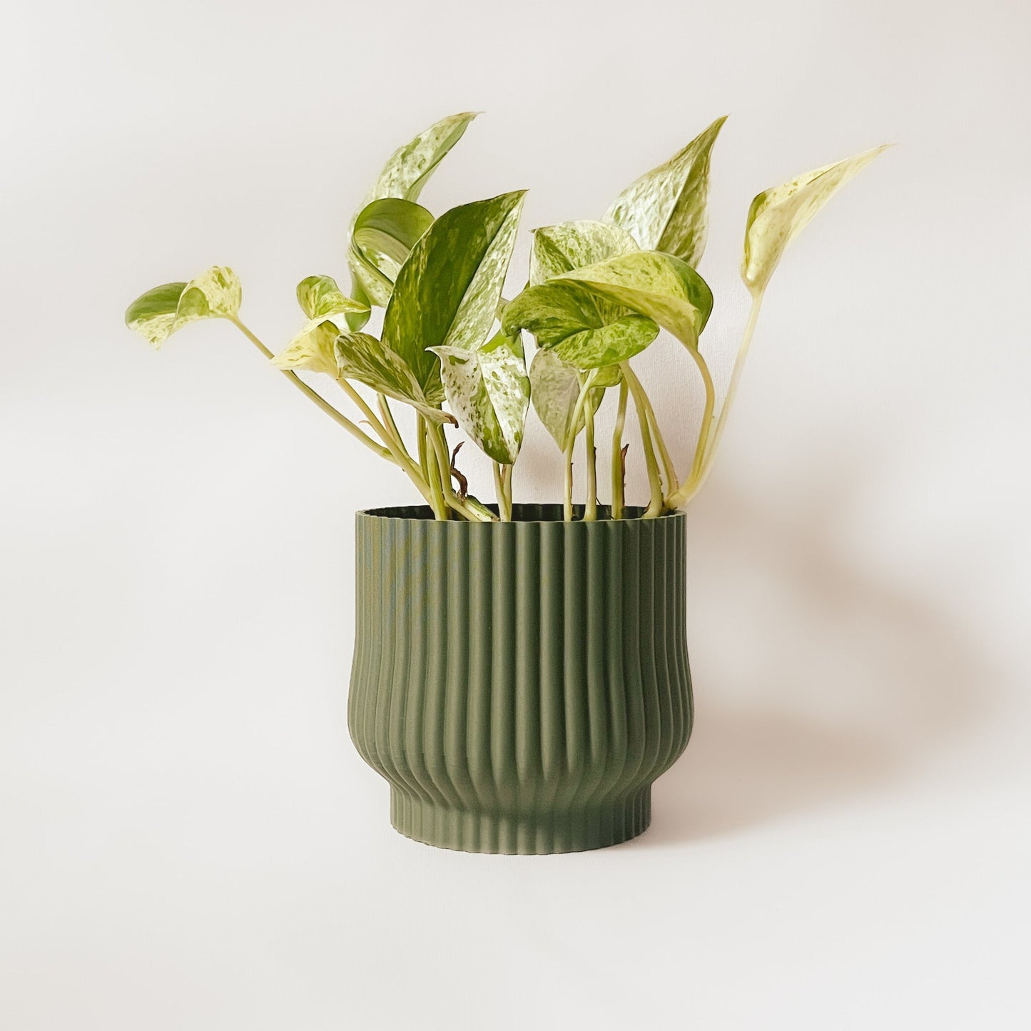 Cache-Pot - L'Adorable - Eucalyptus - 5″