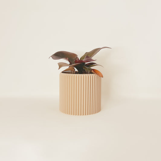 Cache-Pot - Le Coquet - Beige - 4″