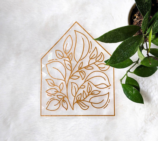 Attrape-soleil - Plantes