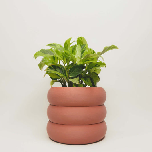 Cache-Pot - Le Bubbly - Terracotta - 4"